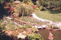 view of the Japanese Garden in Portland Oregon